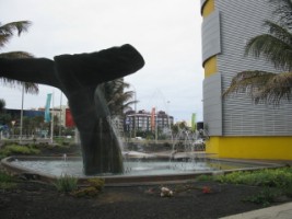 la fuente de la ballena en las palmas de gran canaria